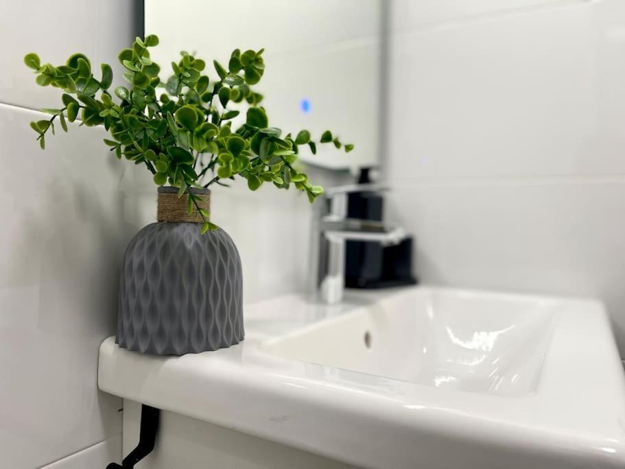 Apartmán Elegancia Junto Al Rectorado. Córdoba Exteriér fotografie