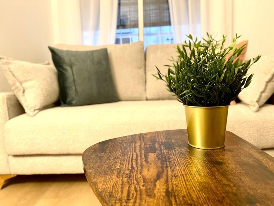 Apartmán Elegancia Junto Al Rectorado. Córdoba Exteriér fotografie